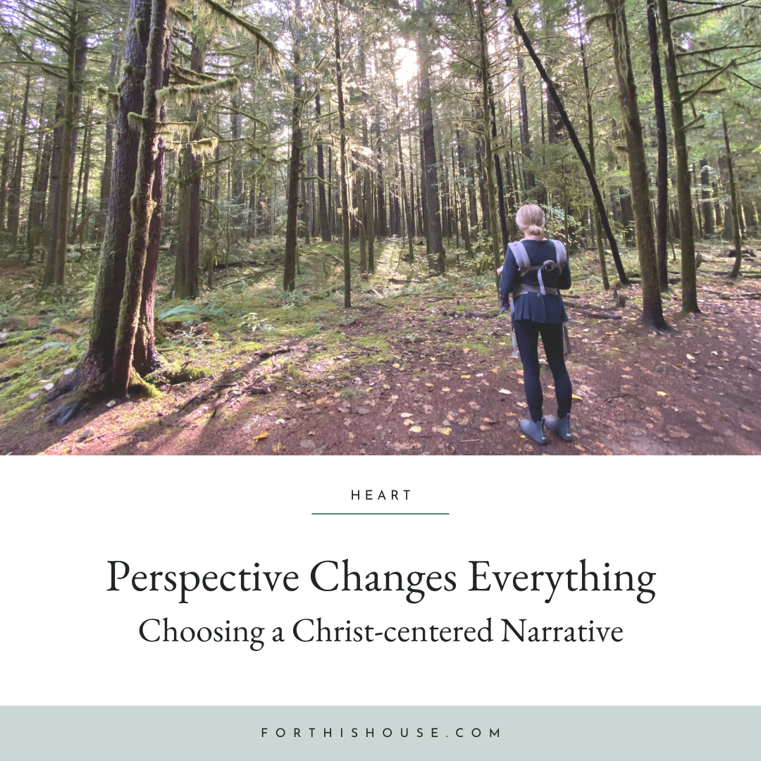 Perspective Changes Everything: Choosing a Christ-centered Narrative