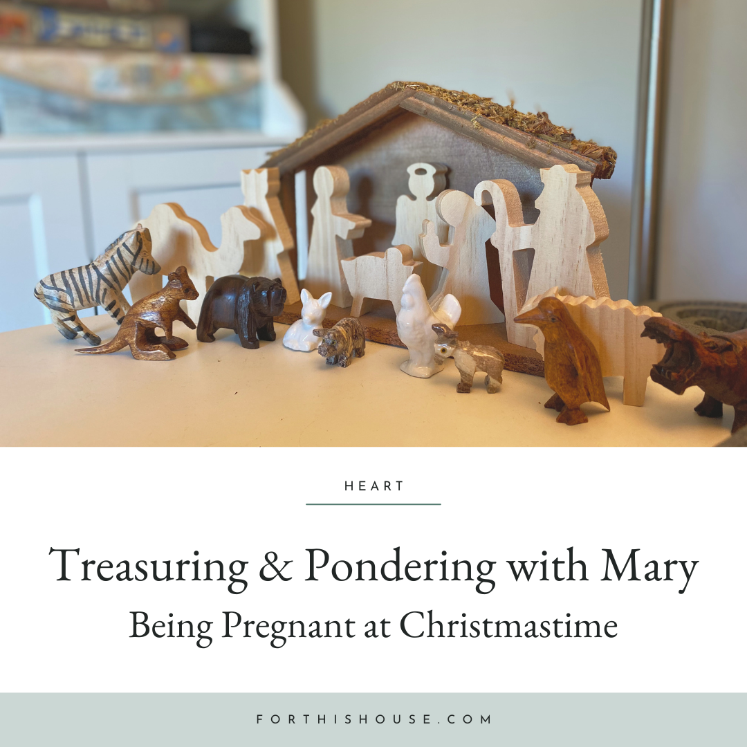 Blog - Treasuring & Pondering with Mary at Christmastime