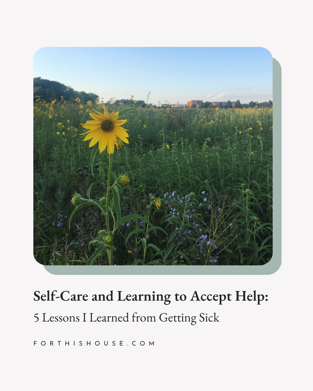 Self-Care & Learning to Accept Help