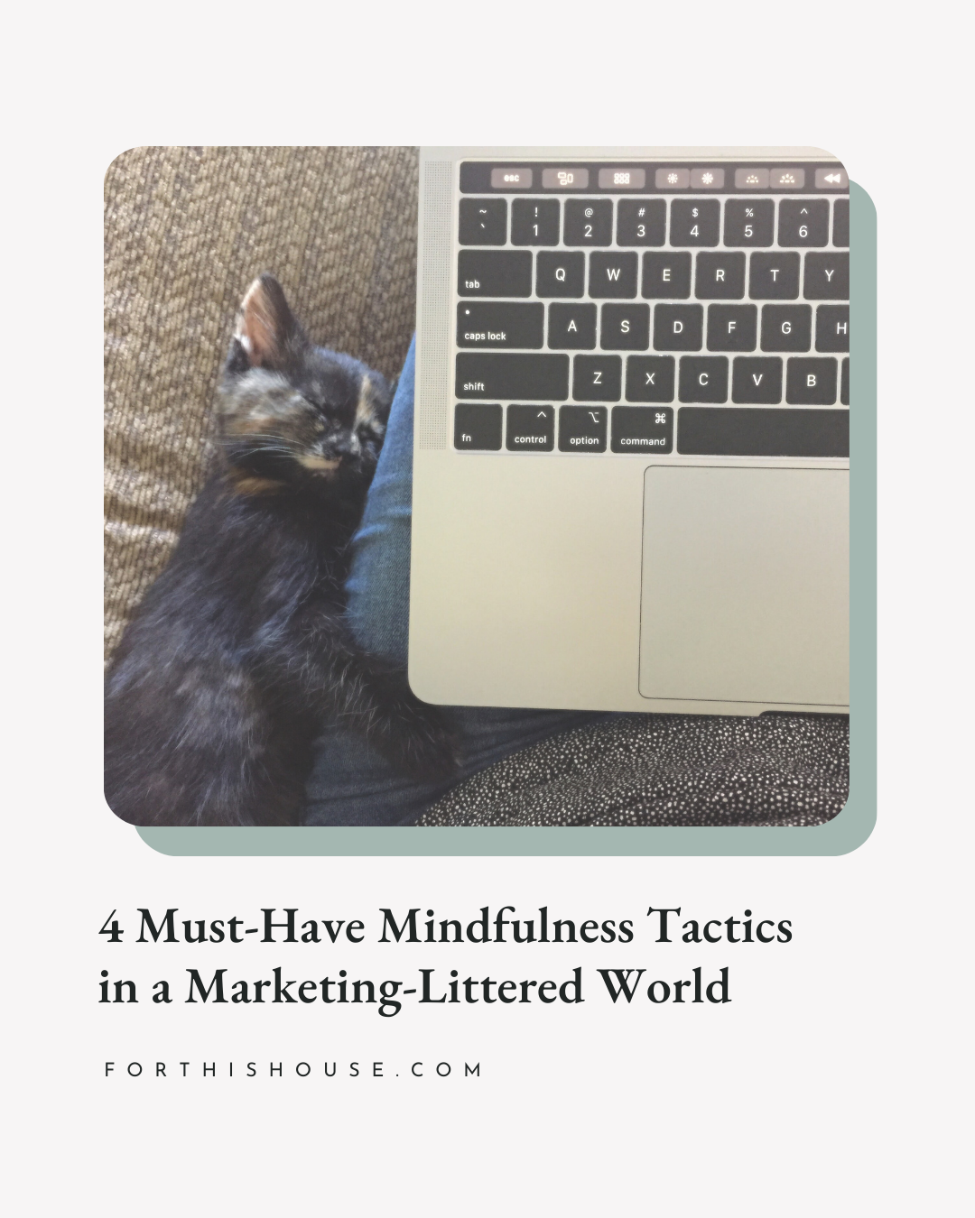 4 Must-Have Mindfulness Tactics in a Marketing-Littered World